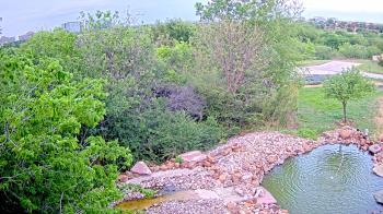 Weather camera view of Elise Walker Outdoor Learning Center.