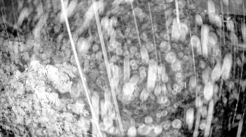 Weather camera view of Elise Walker Outdoor Learning Center.