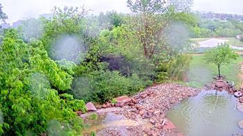 Weather camera view of Elise Walker Outdoor Learning Center.