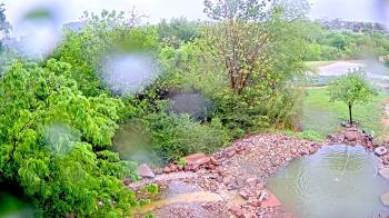 Weather camera view of Elise Walker Outdoor Learning Center.