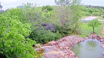 Weather camera view of Elise Walker Outdoor Learning Center.