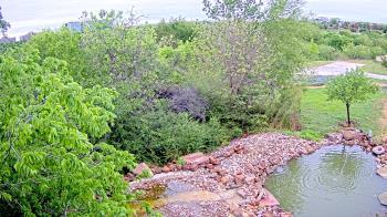 Weather camera view of Elise Walker Outdoor Learning Center.