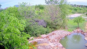 Weather camera view of Elise Walker Outdoor Learning Center.