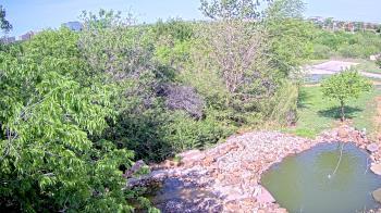 Weather camera view of Elise Walker Outdoor Learning Center.
