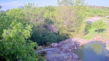 Weather camera view of Elise Walker Outdoor Learning Center.