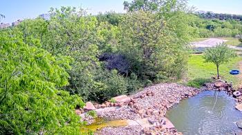 Weather camera view of Elise Walker Outdoor Learning Center.