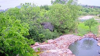 Weather camera view of Elise Walker Outdoor Learning Center.