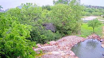 Weather camera view of Elise Walker Outdoor Learning Center.