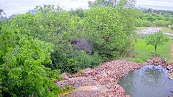 Weather camera view of Elise Walker Outdoor Learning Center.