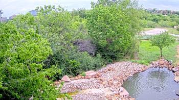 Weather camera view of Elise Walker Outdoor Learning Center.