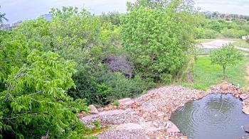 Weather camera view of Elise Walker Outdoor Learning Center.