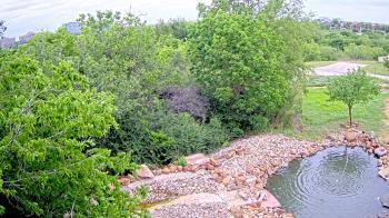 Weather camera view of Elise Walker Outdoor Learning Center.
