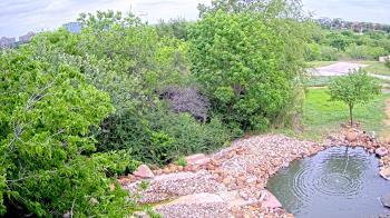 Weather camera view of Elise Walker Outdoor Learning Center.