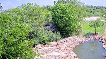 Weather camera view of Elise Walker Outdoor Learning Center.