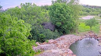 Weather camera view of Elise Walker Outdoor Learning Center.