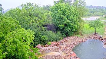 Weather camera view of Elise Walker Outdoor Learning Center.