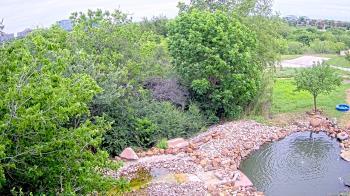 Weather camera view of Elise Walker Outdoor Learning Center.