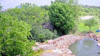 Weather camera view of Elise Walker Outdoor Learning Center.