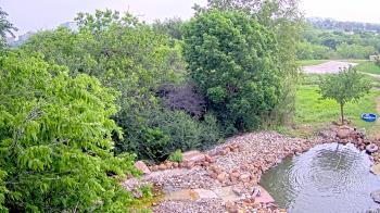 Weather camera view of Elise Walker Outdoor Learning Center.