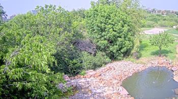Weather camera view of Elise Walker Outdoor Learning Center.