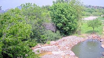 Weather camera view of Elise Walker Outdoor Learning Center.