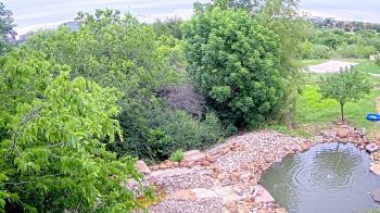 Weather camera view of Elise Walker Outdoor Learning Center.