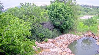 Weather camera view of Elise Walker Outdoor Learning Center.