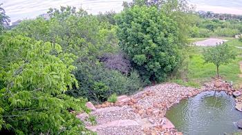 Weather camera view of Elise Walker Outdoor Learning Center.