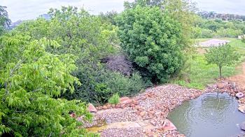 Weather camera view of Elise Walker Outdoor Learning Center.
