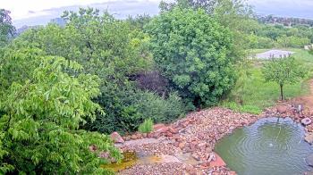 Weather camera view of Elise Walker Outdoor Learning Center.