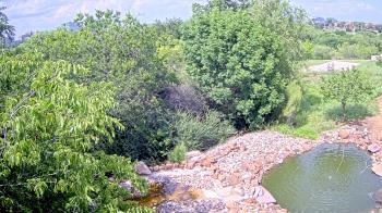 Weather camera view of Elise Walker Outdoor Learning Center.