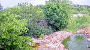 Weather camera view of Elise Walker Outdoor Learning Center.