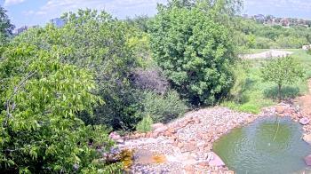 Weather camera view of Elise Walker Outdoor Learning Center.