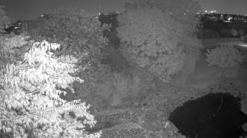 Weather camera view of Elise Walker Outdoor Learning Center.