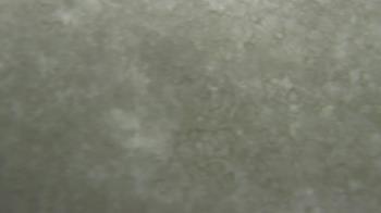 Weather camera view of Jefferson Montessori Academy.