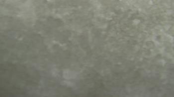 Weather camera view of Jefferson Montessori Academy.