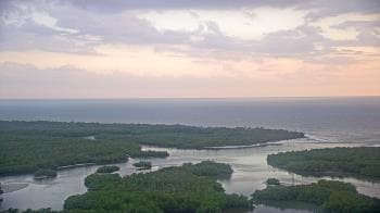 Thumbnail for current weather camera view from Kalea Bay in Naples, Florida