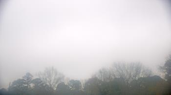 Weather camera view of Kenly NC.