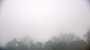 Weather camera view of Kenly NC.