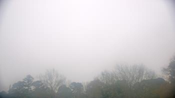 Weather camera view of Kenly NC.