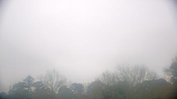 Weather camera view of Kenly NC.