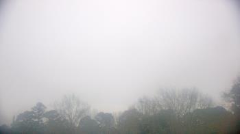 Weather camera view of Kenly NC.