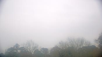 Weather camera view of Kenly NC.