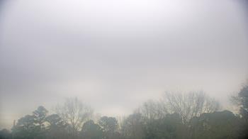 Weather camera view of Kenly NC.