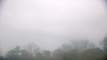 Weather camera view of Kenly NC.