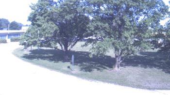 Weather camera view of Goessel ES.