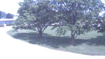 Weather camera view of Goessel ES.