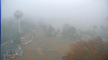 Weather camera view of The Boardwalk Inn.