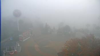Weather camera view of The Boardwalk Inn.