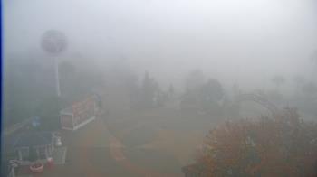 Weather camera view of The Boardwalk Inn.